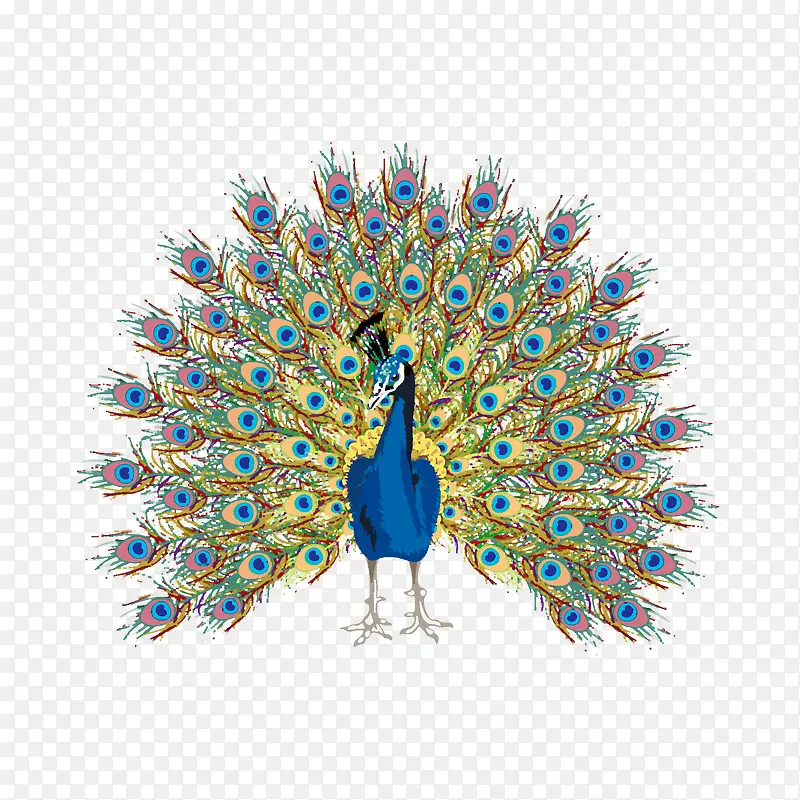 ��ͨ�ɰ�С����װ����ƶ���ͷ��-������