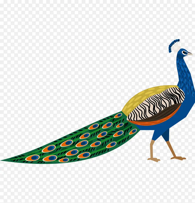 ��ͨ�ɰ�С����װ����ƶ���ͷ��-������