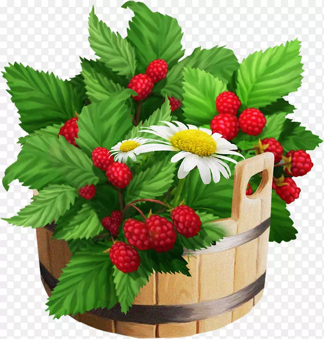 ��ݮ��-������