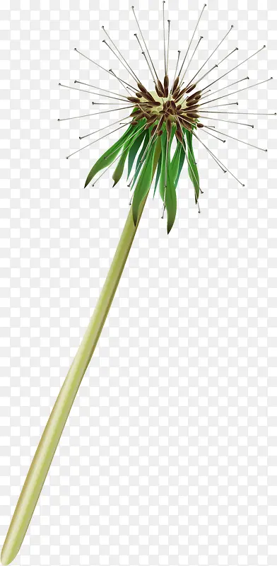 ��ͨ�ɰ��ѹ�Ӣ����-������