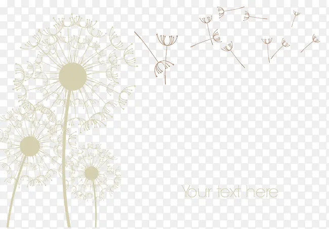 �ɰ�����ʸ��ͼ-������