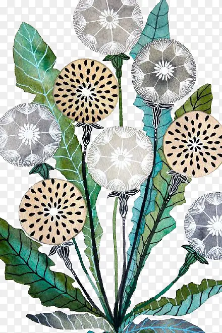 ��ͨ�ѹ�Ӣ-������