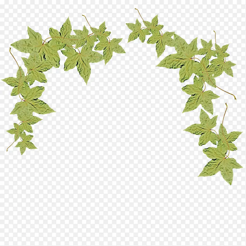 ����-������