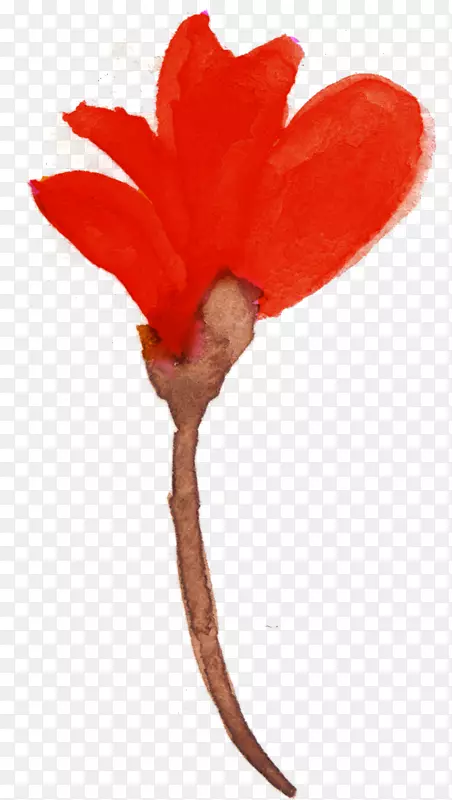 ˮ�ʻ���ˮ�ʻ�����ˮ�ʻ�֧��-������