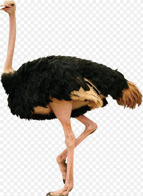 ��ͼ����-������