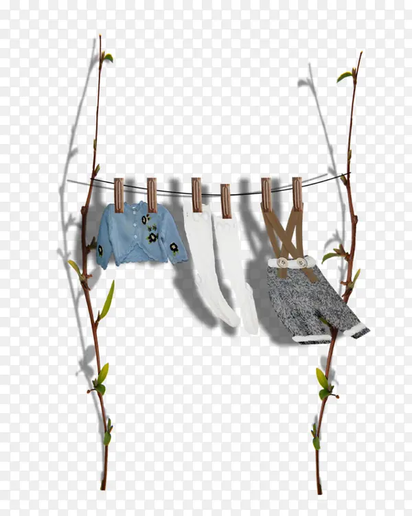 ��ͨ��֦���¼��·�����-������