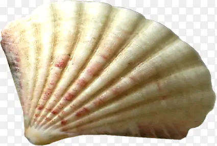 ������Ӱ���α���-������