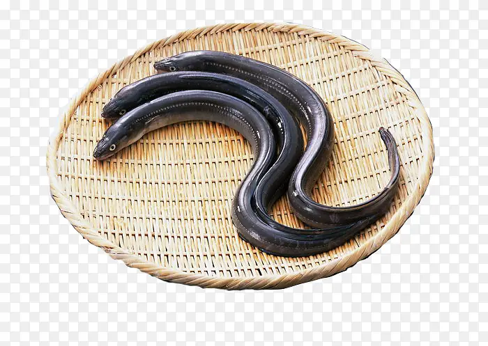 ��������-������