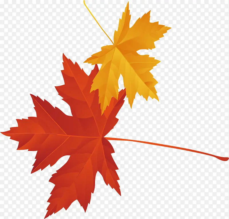 ��Ҷpngʸ���ز�-������