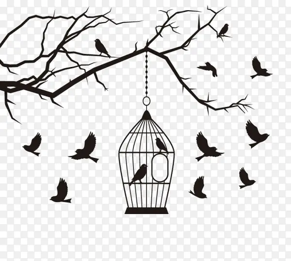 ��ͨ��֦�����ŷ�-������