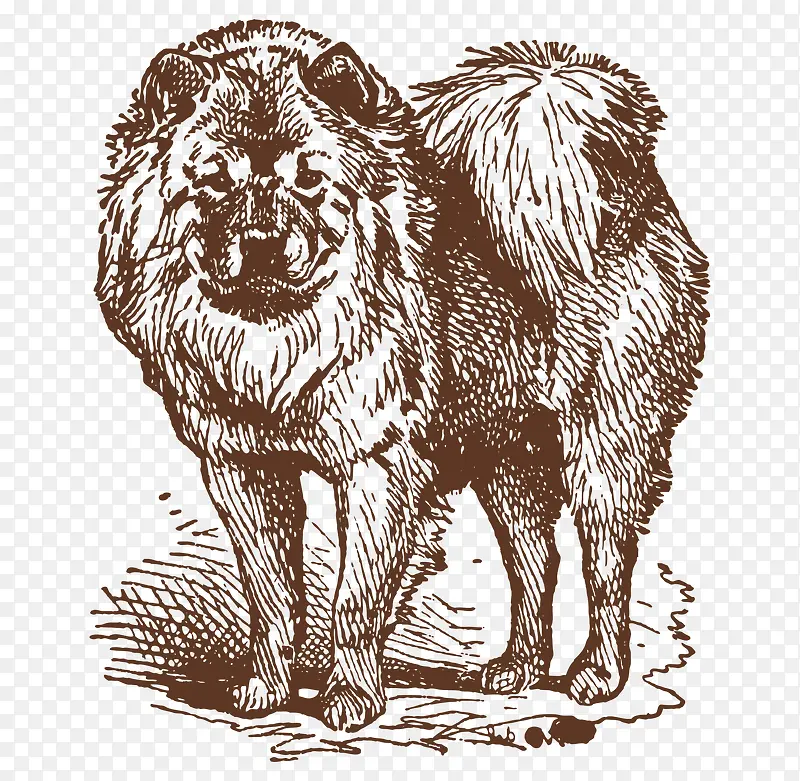 �ֻ�����Ȯ-������