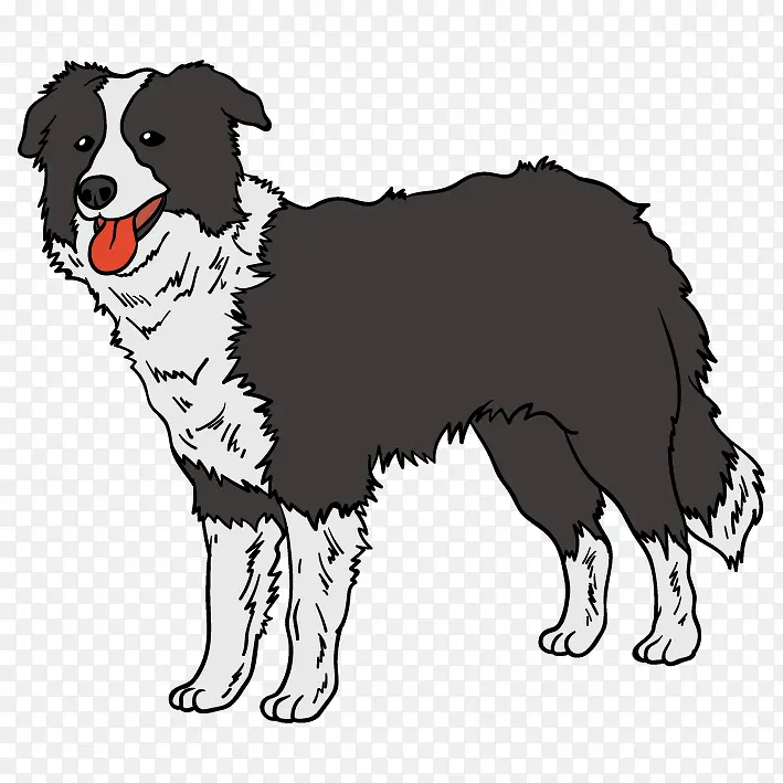 �ֻ�����Ȯ-������