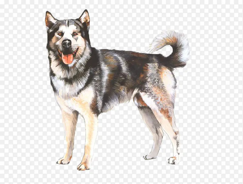 �ֻ�����Ȯ-������