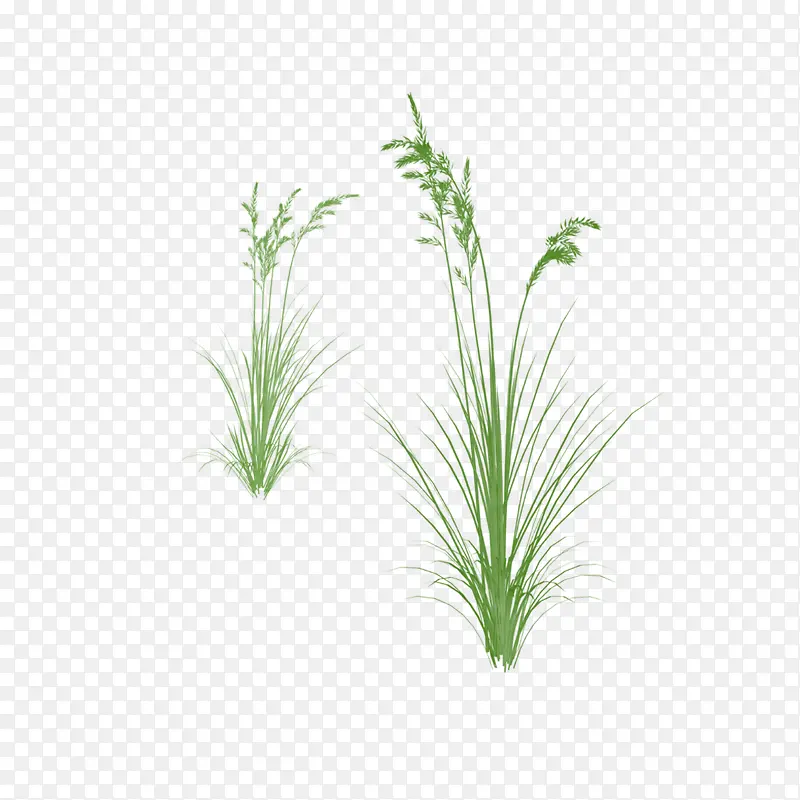 ������-������