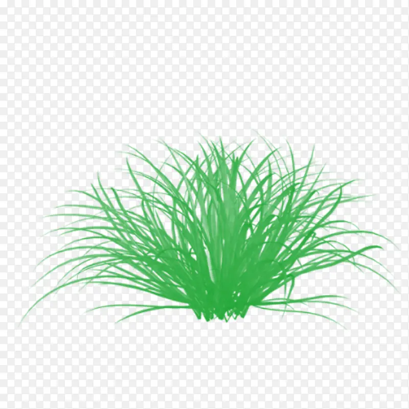 С�����-������