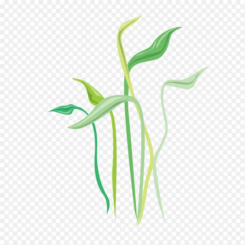 ��ݵĴ���-������