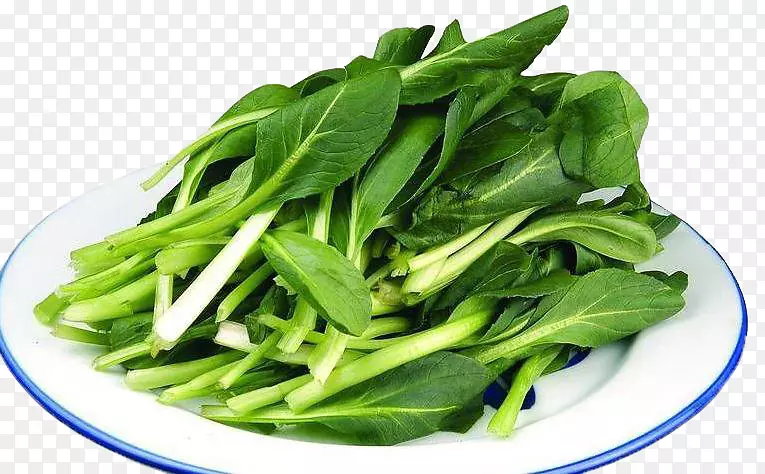 �߲˰ײ˴�ײ�-���Ĳ�-������