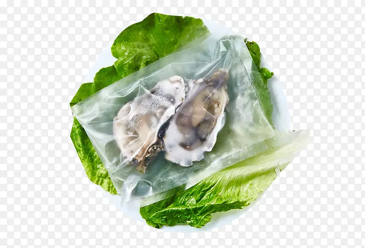 ���Ʒ������ز�-������