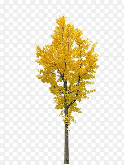 Ư����������-������