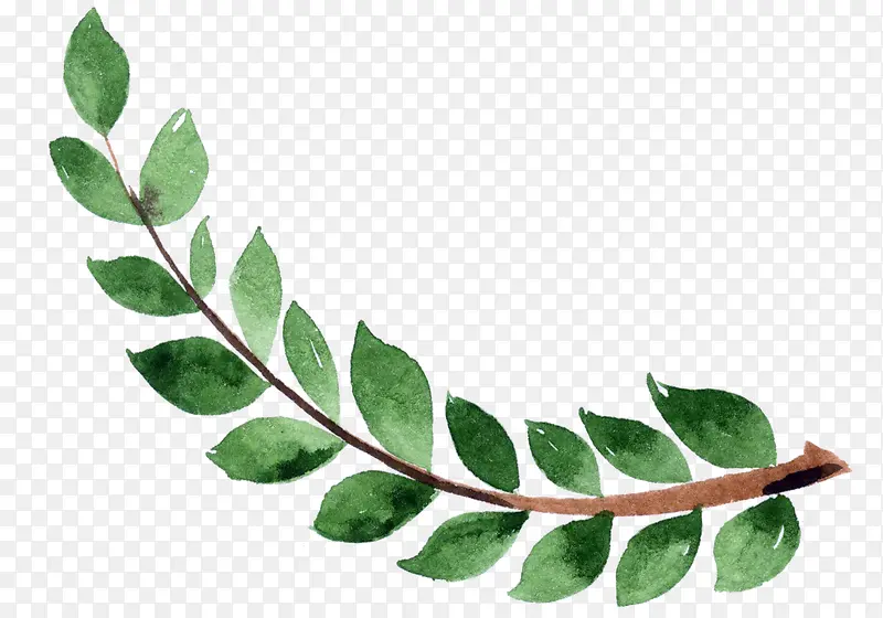 ïʢ����֦��ͨ�廭-������