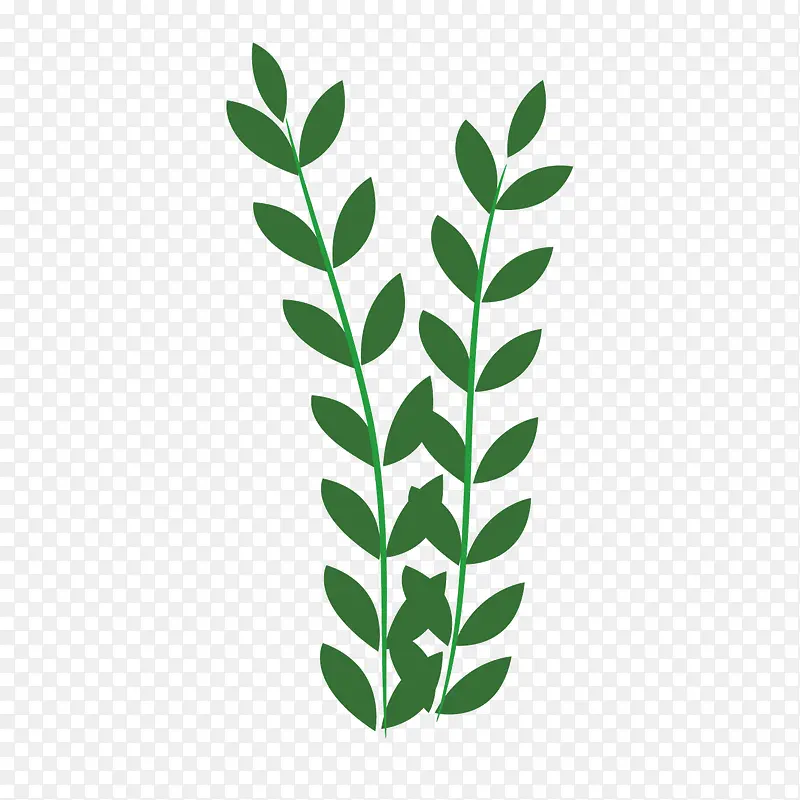 ʸ����ͨ����ɫ��ҶС��-������