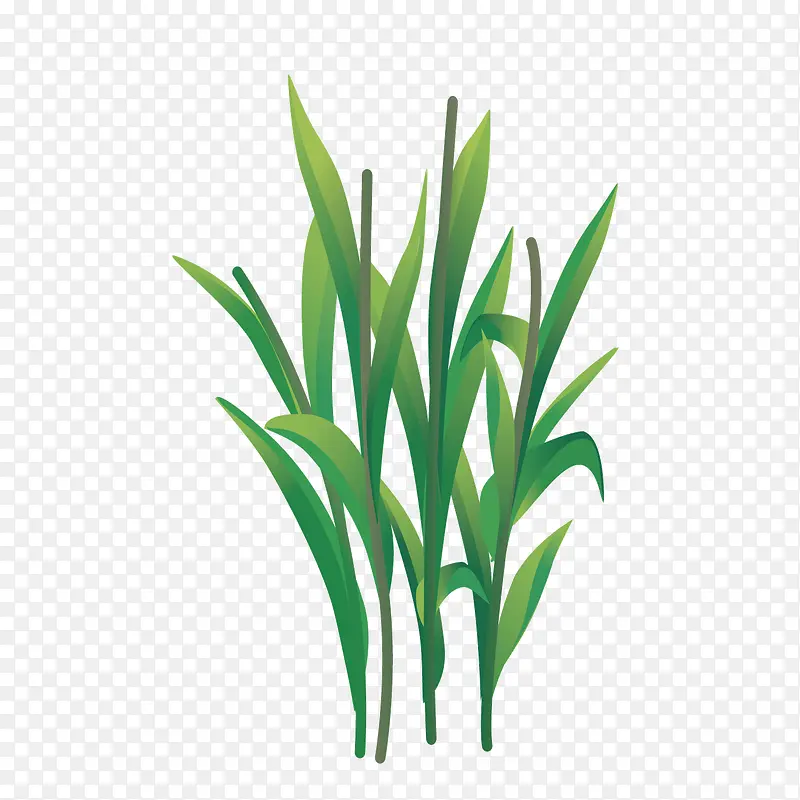 ʸ������ɫ����С��-������