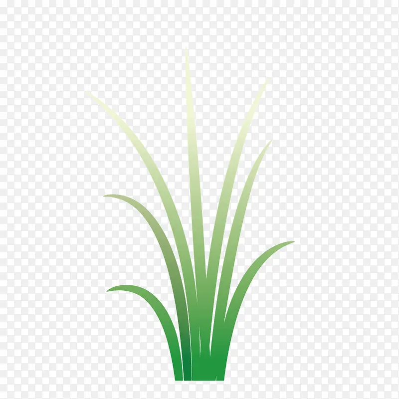 ʸ����ͨ����ɫ���С��-������