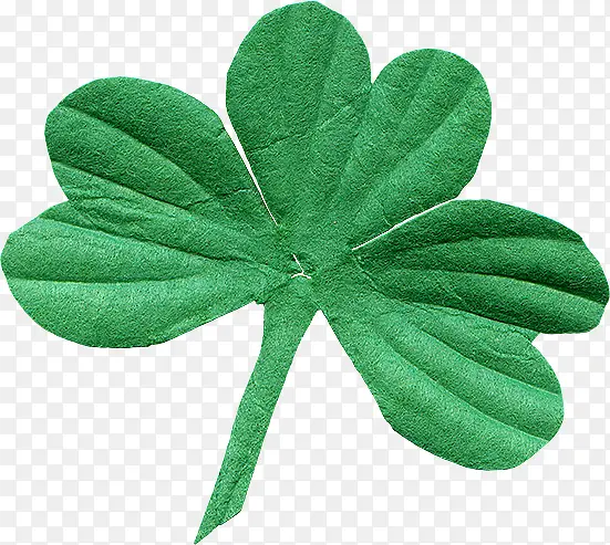 ����ɫ��Ҷ��-������