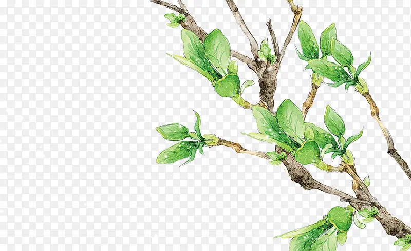 �ֻ���֦��ѿ�ز�-������