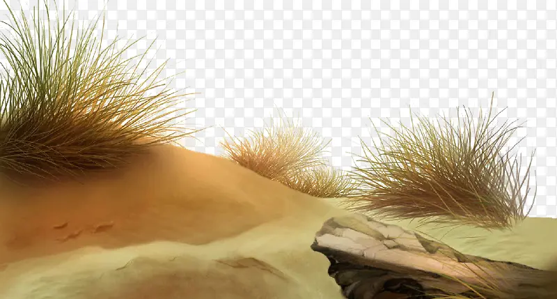 ɳĮ��������ز�-������