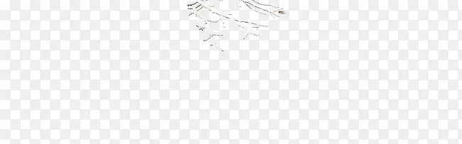 ֦����ѩ����֦-������