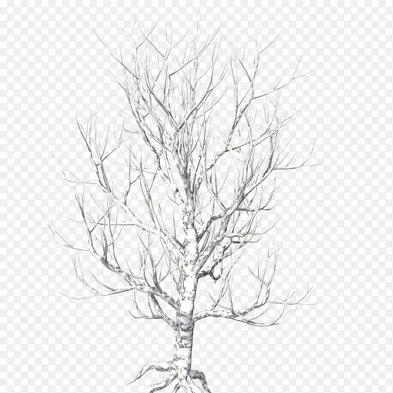 ��ɫ��ľ-������