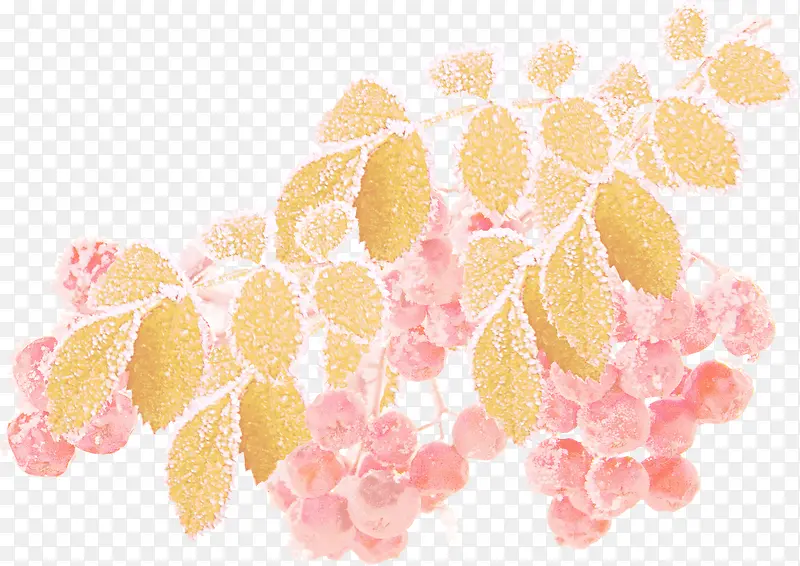 ��ѩ֦Ҷ-������