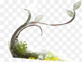 ����ɫ��-������