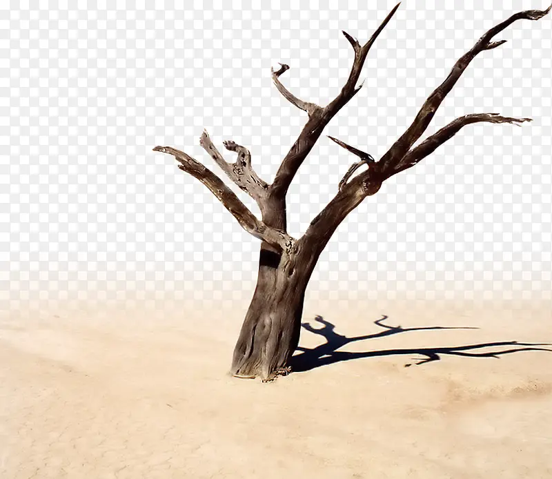 �ɿ���ľ-������