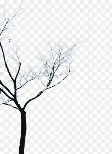 �ɿ���֦ �� ��֦-������