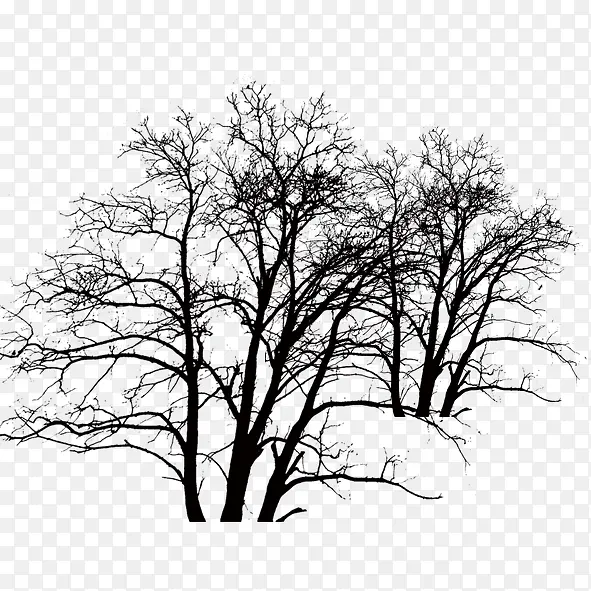 ��ɫ��֦-������