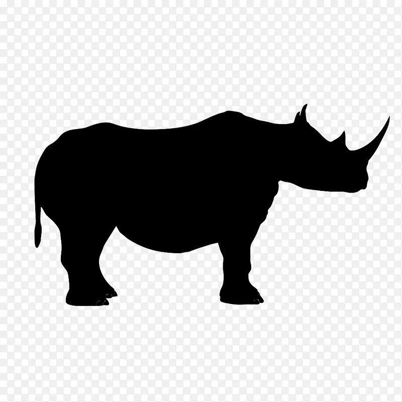 Ϭţ��Ӱ-������