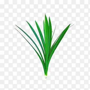 �߲�ʸ���ز�-������