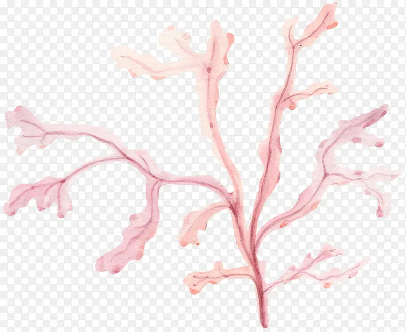 �ֻ�ֲ��-������