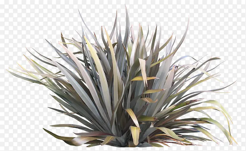 ��ή��С��-������