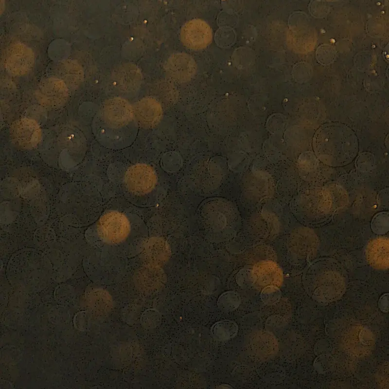 ����ɫ-������