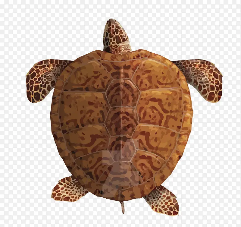 ʸ������-������