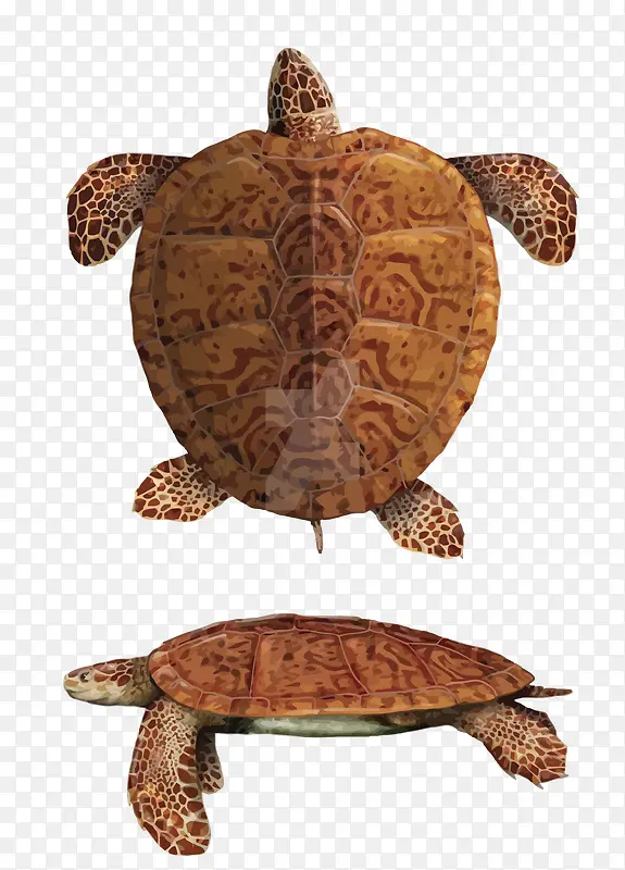 ʸ������-������