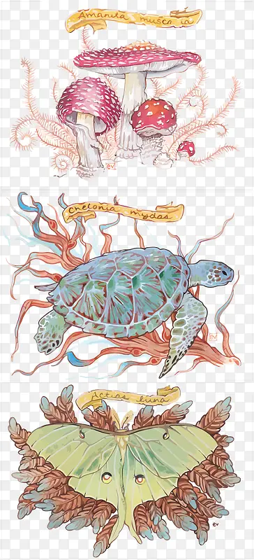 ʸ��Ģ���ɶ�ͺ���-������