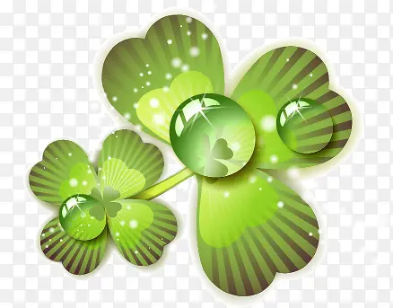 ����������Ҷ����Ҷˮ��¶��-������