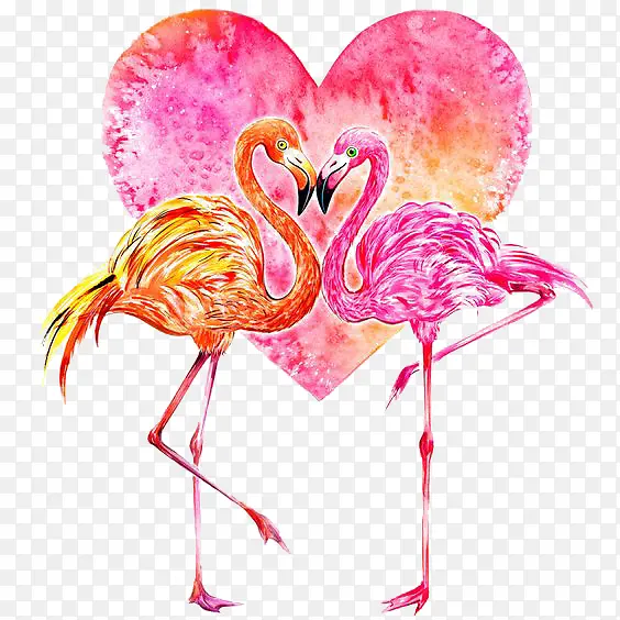 ���Ļ�����-������