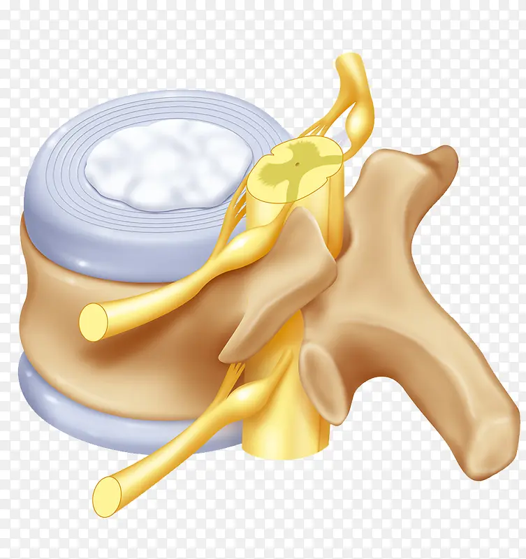 ��׵����ϵͳ-������