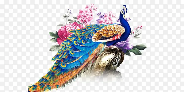 ��ɫ��ȸ-������