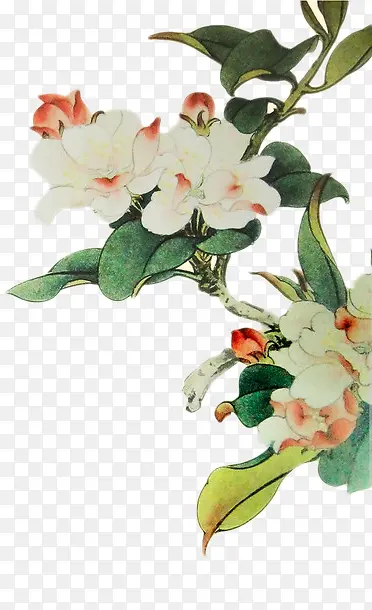 ������ɫ����-������